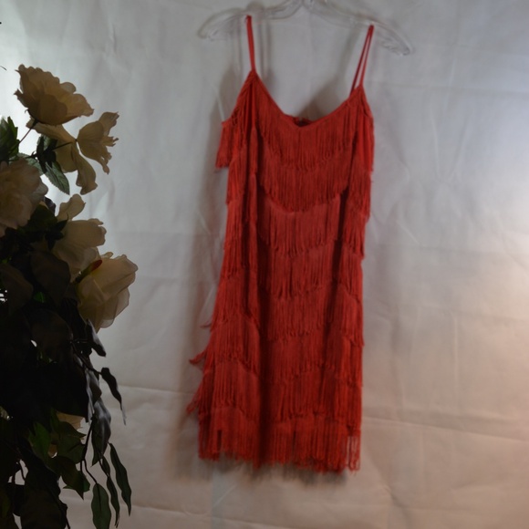 Fringe Flapper Gatsby Style Dress SZ M - Picture 2 of 6